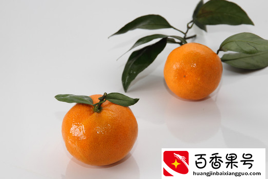 橘子几月份成熟上市 橘子怎么挑选有哪些品种