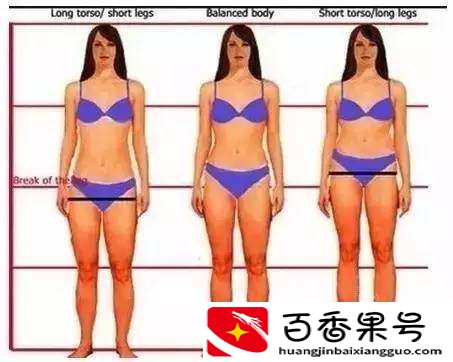 女生腿长标准对照表